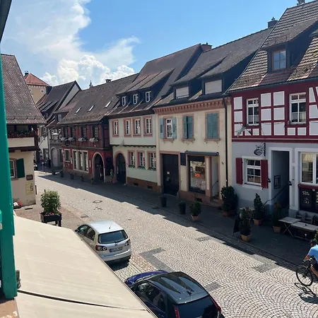 شقة Wolf House غينغنباخ